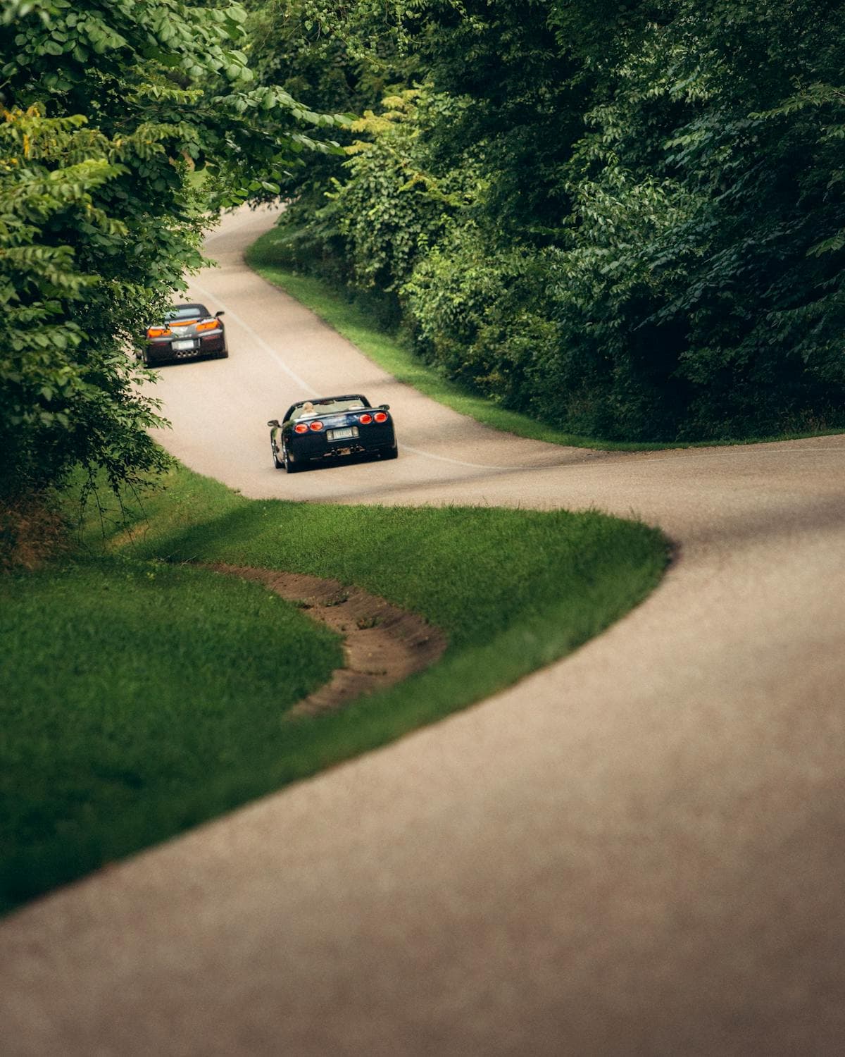 Sports cars driving on a curvy tree-lined countryside road