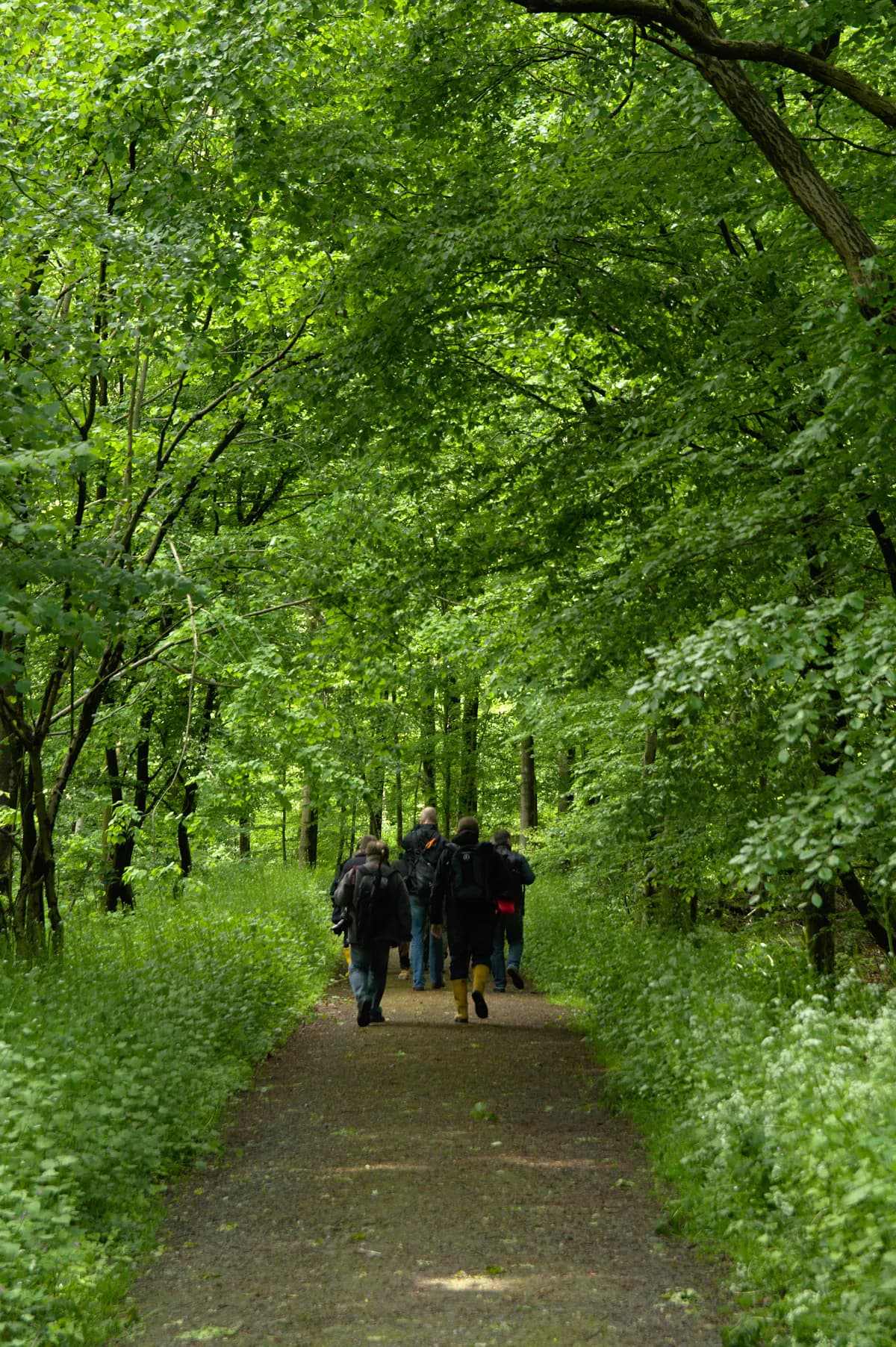 Group of hikers walking along a UK countryside trail