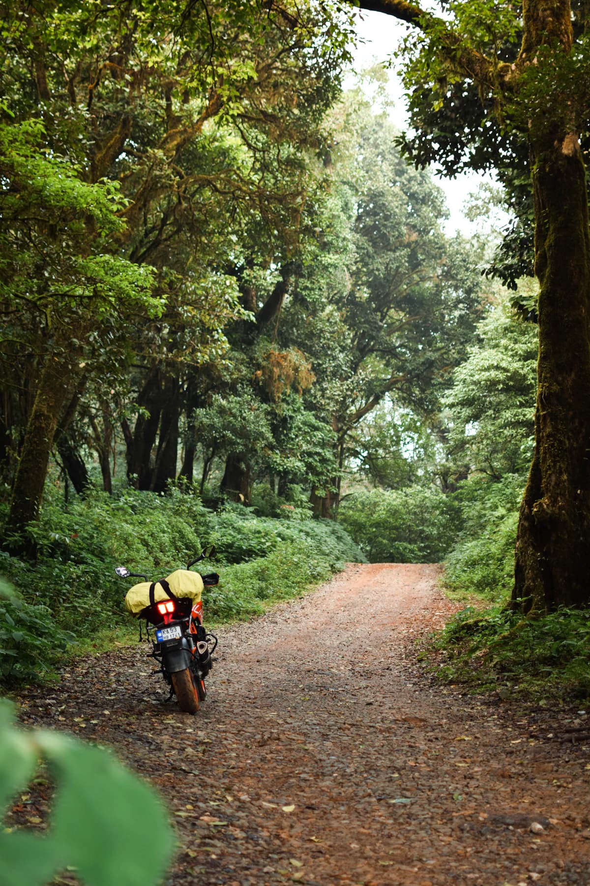 Motorcyclist on a lush green misty dirt road in the mountains